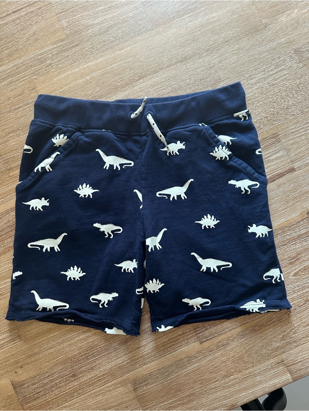 Hatley Kids Navy Dinosaur Print Shorts